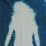 cyanotype photograms