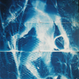 cyanotype photograms